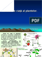 S 13 Ciclul de Viata Al Plantelor. Miscarea Si Sensibilitatea La Plante