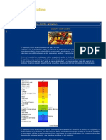 Equilibrio Ácido Alcalino