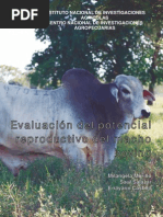 Evaluacion Reproductiva Macho Bovino