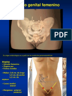 Diapositivas Ar