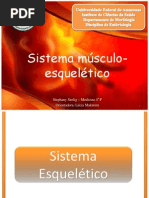Sistema Locomotor