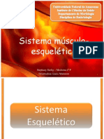 Sistema Locomotor