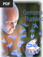 Genoma Humano