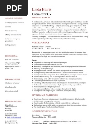Cabin Crew Cv Template Flight Attendant Aviation