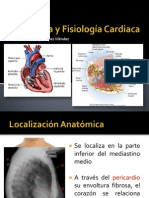 Anatomía y Fisiología Cardiaca