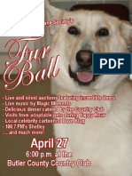 Furball Flyer