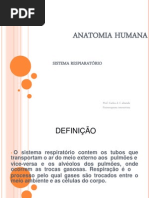 SISTEMA RESPIRATÓRIO