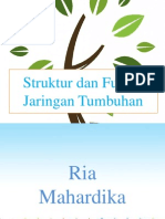 Download StrukurDanFungsiJaringanTumbuhanbyFakhriFauzanSN131168853 doc pdf