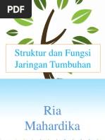 Download StrukurDanFungsiJaringanTumbuhanbyFakhriFauzanSN131168853 doc pdf