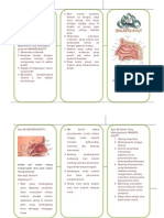 Leaflet Sinusitis