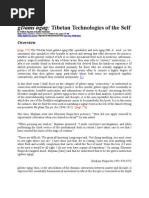 Tibetan Technologies of The Self