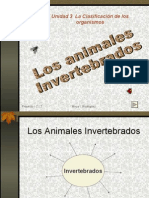 Los Animales Invertebrados