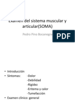 3era- Semana -Sesion 1 Examen Del Sistema Muscular y Articular 11-03-2013