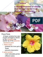 Flowers PDF