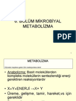 Bölüm Mikrobiyal Metabolizma
