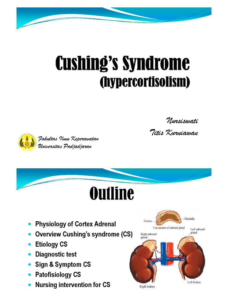 Cushing Syndrome | PDF | Self-Improvement | Wellness