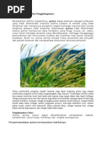 Download Identifikasi Gulma Dan Penggolongannya by Mongkey Runs SN131228783 doc pdf