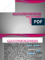 gluconeogenesis-091211150446-phpapp02