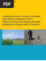 Download Conservation Tillage and Water Productivity in Ethiopia by haithamelramlawi7503 SN131247996 doc pdf