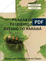 praga feijão