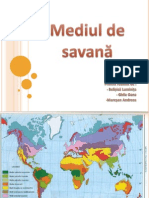 Mediul de Savană