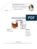 Sanidad Animal Informe