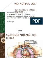 ANATOMIA NORMAL DEL TÓRAX modificada