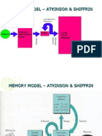 Memory Model - Atkinson & Shiffrin