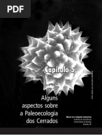 Capítulo 5 - Alguns aspectos sobre a paleoecologia dos cerrados