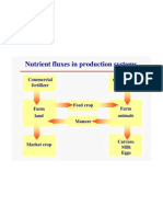 Nutrient Fluxes in Production Systems