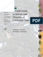 Oak Insects Diseases