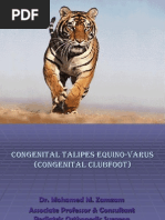 Download Congenital Talipes Equino-Varus by jatuwarih SN131375788 doc pdf