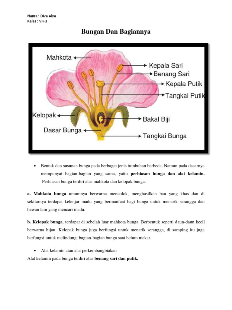 Bungan Dan Bagiannya