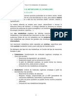 Tema 10. El Metabolismo. El Catabolismo.