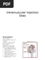 Download Intramuscular Injection Sites by myloe SN13138862 doc pdf