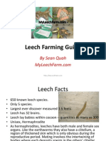 Leech Farm Guide