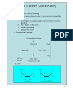 Bbc115 Slide Asam Nukleat Atau Nucleic Acid