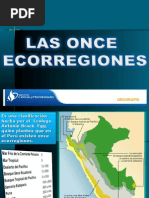 Ecorregiones