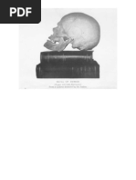 Shufeldt - The Negro a Menace to American Civilization