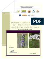 estudio-lavandin-y-coriandro.pdf