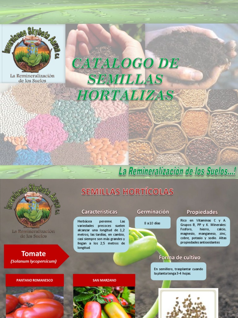 Catalogo de Semillas Hortalizas SKYBETA | Sandía | Maíz