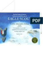 eagle scout certificate