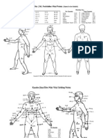 Vital Points Meridians