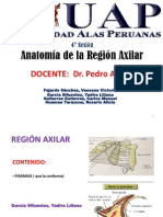 Region Axilar