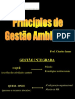 Princípios de Gestão Ambiental