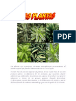 Las Plantas