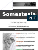 55648093-Fisiologia-Somestesia