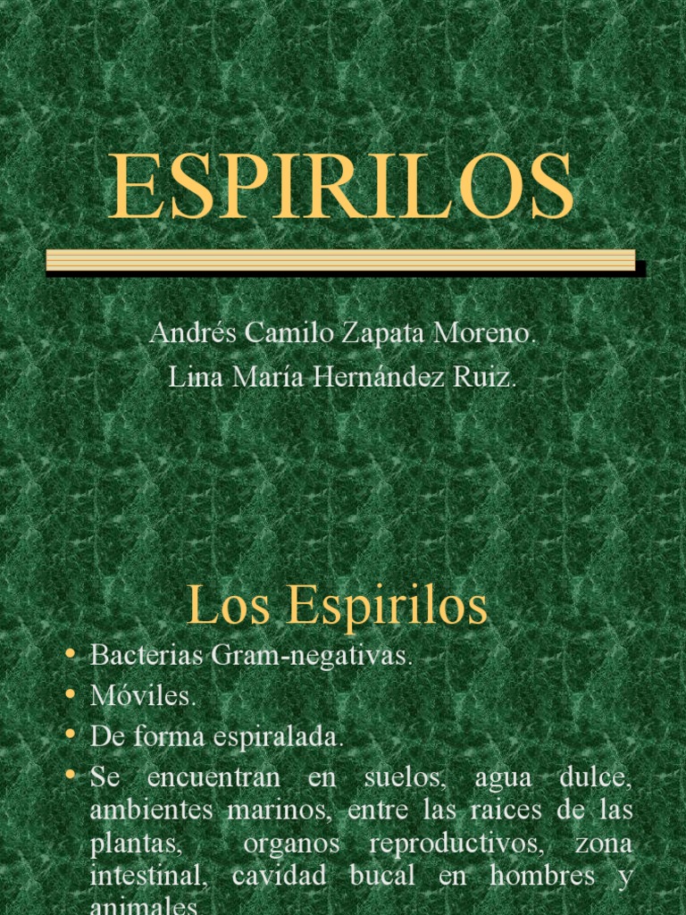Bacteria Espirilos | PDF | Las bacterias | Biología