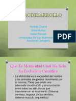 Neurodesarrollo ppt