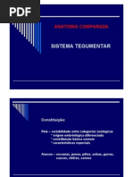Sistema Tegumentar Dos Vertebrados